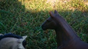 КАЙТО - серия 4 | Сериал Шляйх (Schleich)