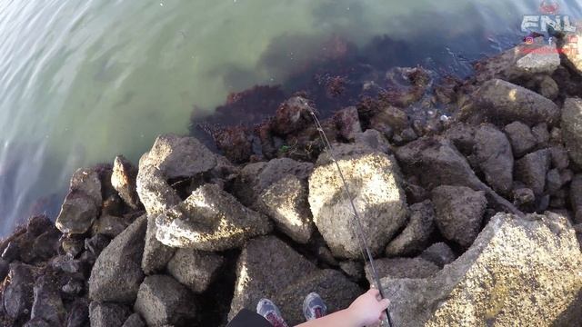 Hand Reel Poke Poling/Pocket Fishing + Bonus Striper Bass смотреть онлайн