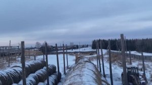 Возим сено на тракторе МТЗ-82.1