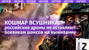Разрывают на части и перемалывают в труху — наши дроны кошмарят боевиков ВСУ