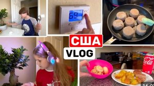 США ВЛОГ Реакция на мой цветок Как согреться  дома Обед Семейный ВЛОГ