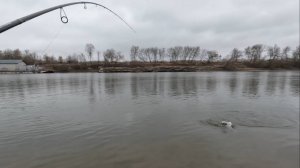 Погода ВЕСЕНЯЯ, но РЫБУ это не устраивает! Зимний СПИННИНГ на Москва-реке! Рыбалка в ЯНВАРЕ!