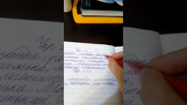 проверка тетради по русскому языку