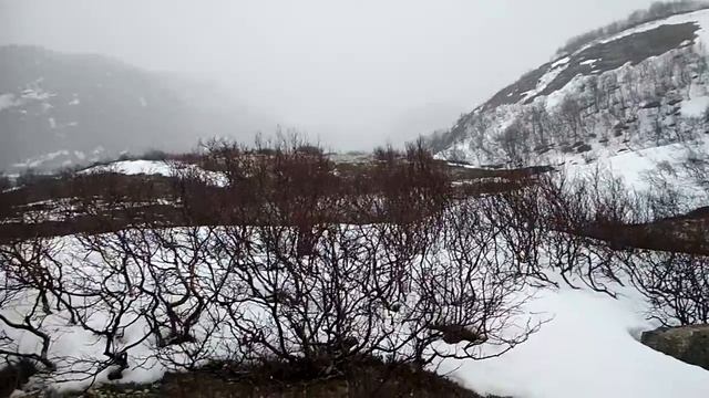 В тундре на Кольском смотреть онлайн