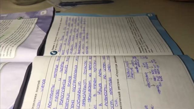 Мой продуктивный день📓/стади виз ми/BIG HEAD