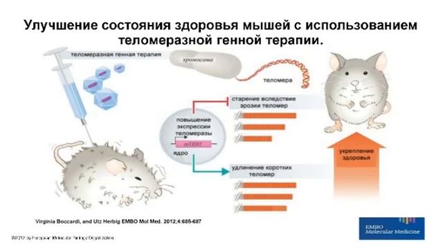 FINITI   Обучение медицинского консультанта Варвары Веретюк от 18 10 2016