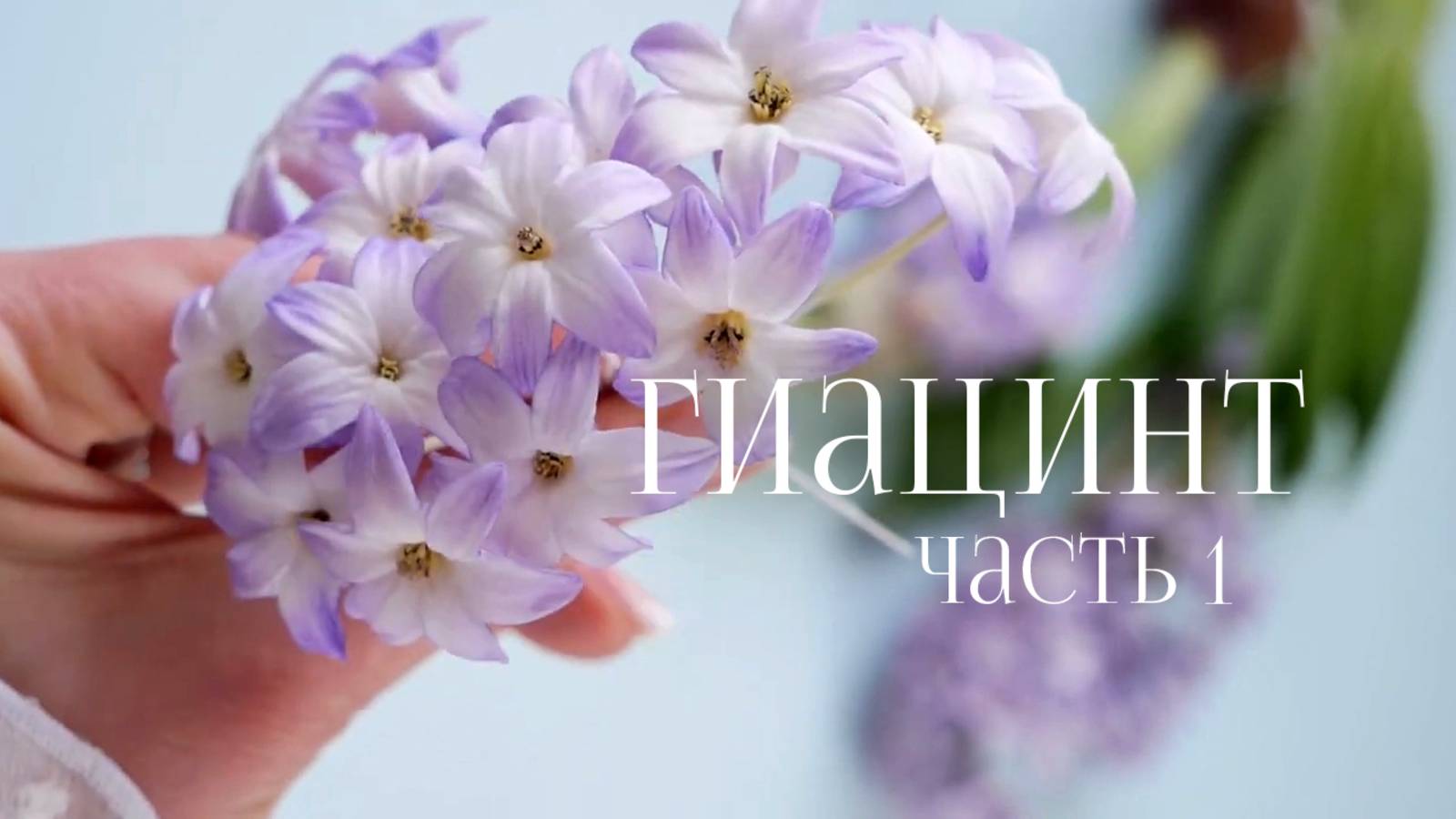 Гиацинт Часть 1 смотреть онлайн