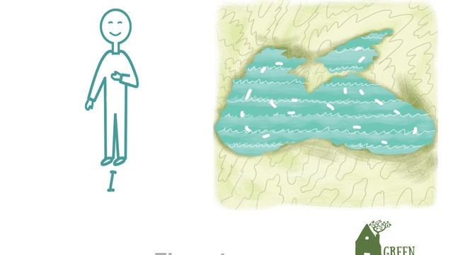 Nature ( Step 8 : Unit 37, Ex.1, p.23) 24 EASY STEPS by Green Country смотреть онлайн