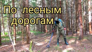 По лесным дорогам с металоискателем.