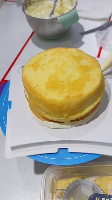 Multilayer Sandwich Cake #shorts #clips #fyp #handmade #cakedecorating смотреть онлайн