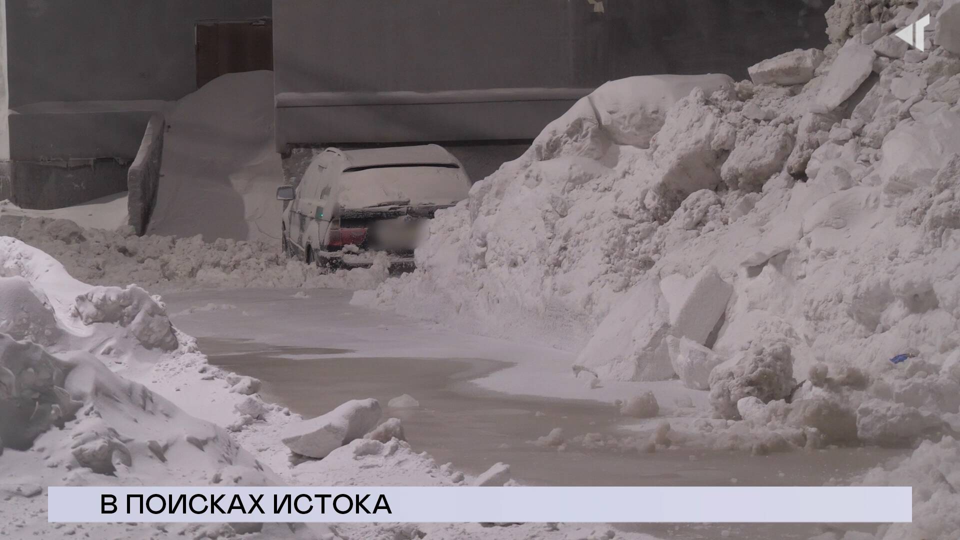 НОВОСТИ СЕВЕРНОГО ГОРОДА, 28.01.2025