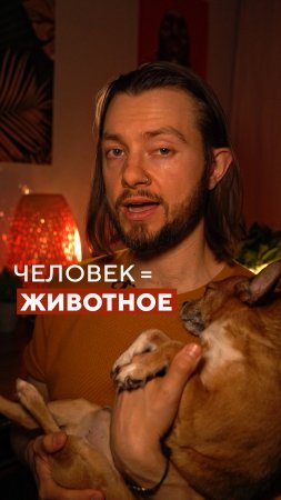 🐕 человек - это животное?