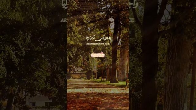 Heart touching Quran Recitation ❣️ #alquran #arabic #shortfeed #quran #explore смотреть онлайн