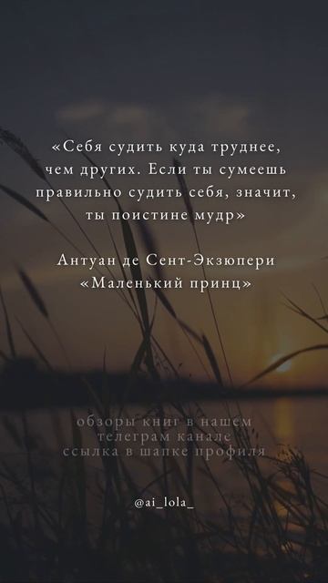 #маленькийпринц #экзюпери #shortsyoutube
