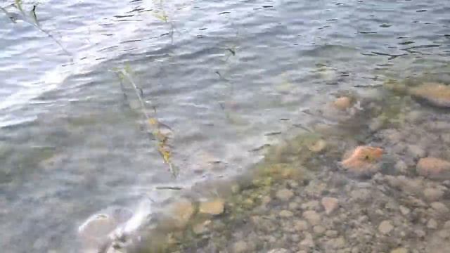 просто релакс смотреть онлайн