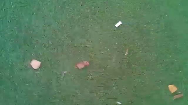 что делают ученики после уроков №20 смотреть онлайн