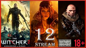 Stream - The Witcher 2: Assassins of Kings (путь Роше) #12 Лок Муинне