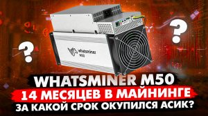 WHATSMINER M50 | 14 МЕСЯЦЕВ В МАЙНИНГЕ | ЗА КАКОЙ СРОК ОКУПИЛСЯ АСИК?