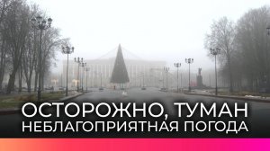 Новгородских автомобилистов просят быть внимательными на дорогах из-за тумана