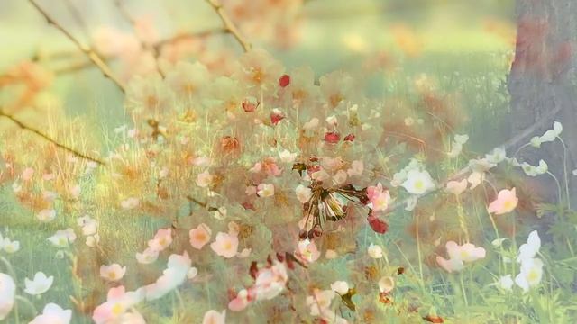 Габдулла Тукай шигыре ярдәмендә ел фасылларын өйрәнәбез смотреть онлайн