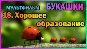 | Мультфильм | БУКАШКИ | 18. Хорошее образование |