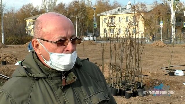 Школьники высадили липовую аллею смотреть онлайн