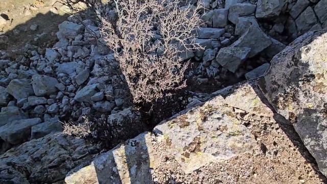 Исследование Неандрии. Сотни тонн гранита. Турция смотреть онлайн