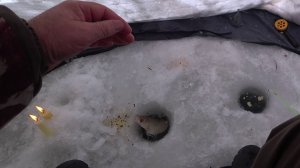 Рыбалка на реке конец ЯНВАРЯ 2025.ПЛОТВА НА БЕЗМОТЫЛКУ