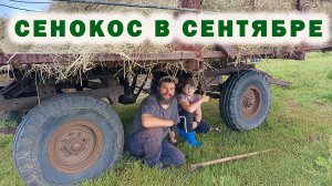 Привезли сено в сентябре и попали под дождь, когда скидывали в копну. Вспомнилось моё детство