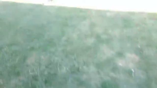 Мой выходной вечер! Что я делаю? смотреть онлайн