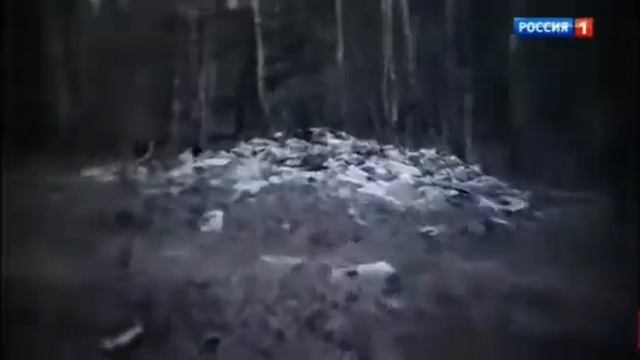 История пропавшего подростка Влада Бахова в Смоленской области смотреть онлайн