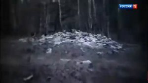 История пропавшего подростка Влада Бахова в Смоленской области