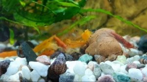 Маленькое,но приятное пополнение!🙂