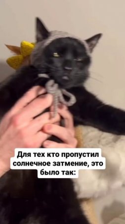 Солнечное затмение