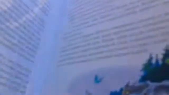 Коты Воители  Секреты племен 2