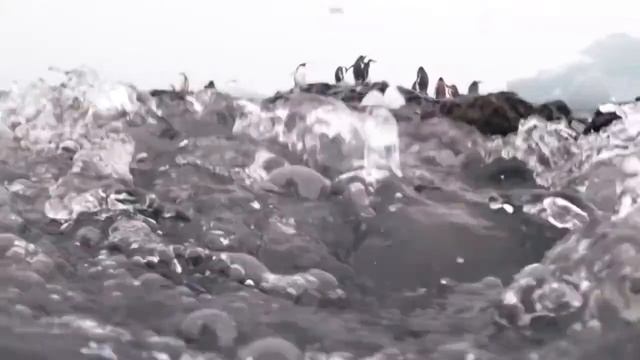 ГЕРОЙ НАШЕГО ВРЕМЕНИ | АЛЕКС БРЕД смотреть онлайн