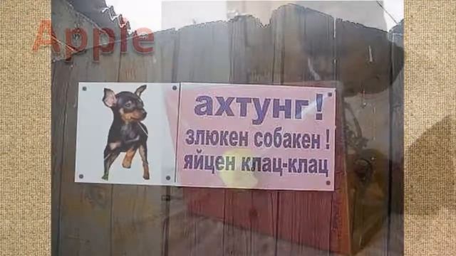 О нас с юмором 4