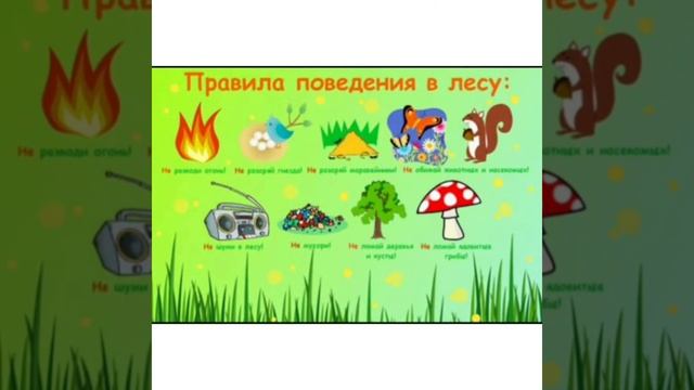 1 июня "День защиты Детей! "Безопасные каникулы" смотреть онлайн