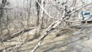 Покатушки "Весенний пикник"