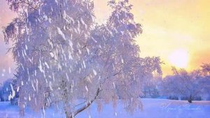 Вьюга моя подруга.