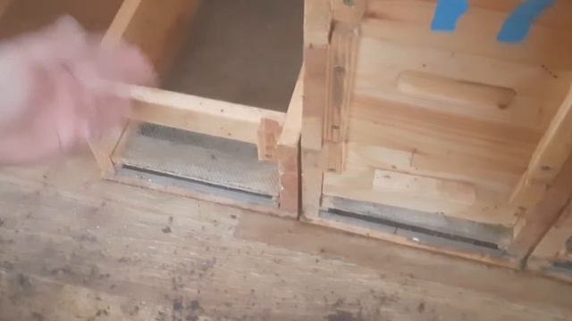 Павильон для содержания пчёл смотреть онлайн