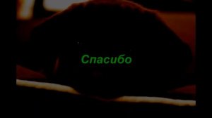 Язык жестов