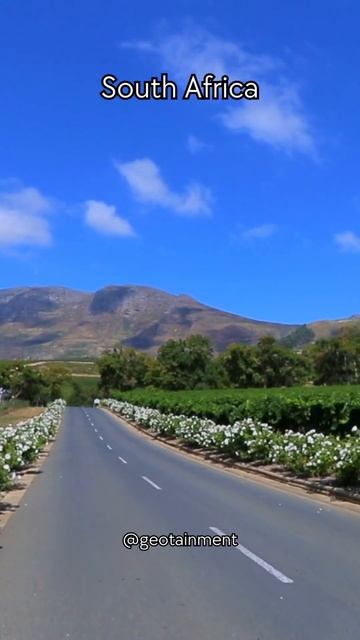 Countries With The Most Official Languages #shorts #multilingual #polyglot #languages смотреть онлайн