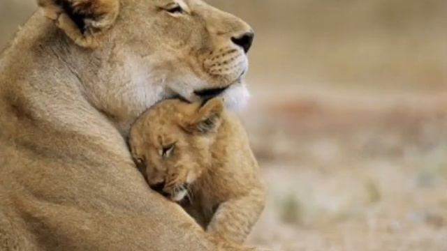 Малыш - Автор Алия Сапарова смотреть онлайн