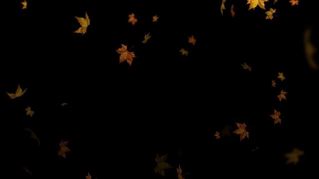 Фон для тиров "Листопад" FHD\4K смотреть онлайн