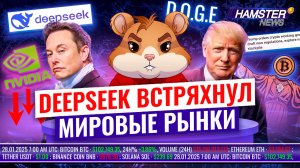 «Биткоин-Иисус» обращается к Трампу, блокчейн для DOGE, крипто «круглые столы» в США ⚡️ Hamster News