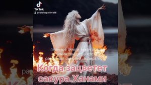 КОГДА ЗАЦВЕТЕТ САКУРА.ХАНАМИ Natali Well