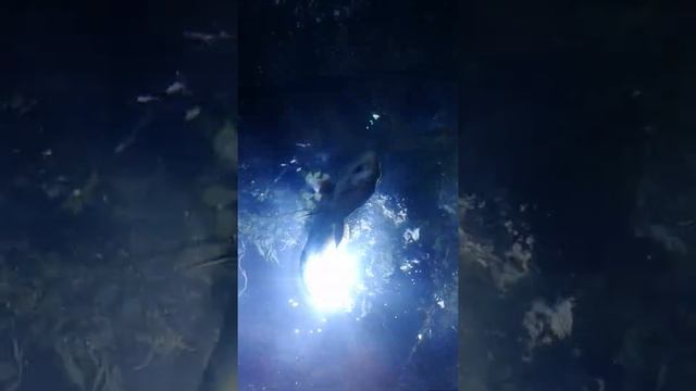 Океанографический парк Валенсии