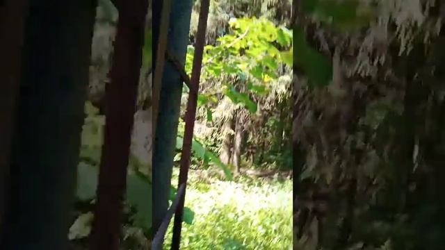 Нормы ГТО. 04.02.2022. Первично путь не был изведан. смотреть онлайн