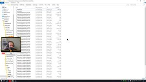 PALIA ВЫШЛА В STEAM_КАК ПОСТАВИТЬ РУССКИЙ ЯЗЫК